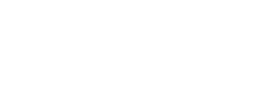 Light Logo